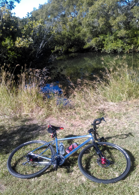 Cycled to a clearing near a creek at Boondall