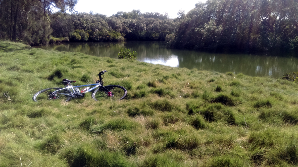 Cabbage Tree Creek Boondall wetlands