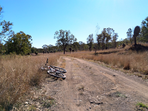 On the Brisbane Valley Rail Trail