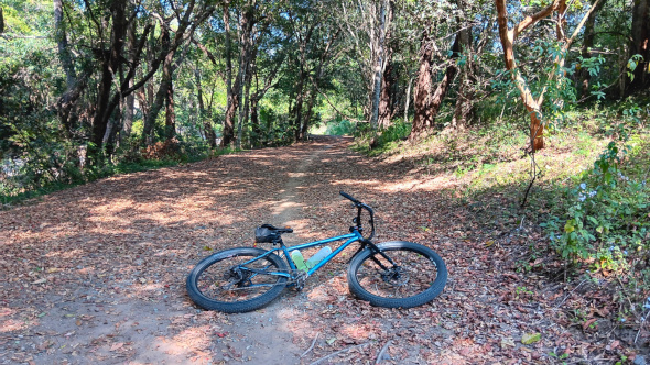 Samford Pony Trails singletrack