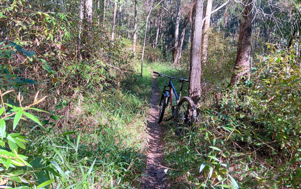 Bunyaville single track with mountain bike