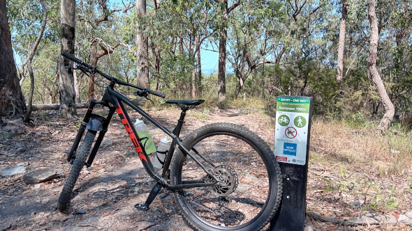 Sorceress trail Bayview