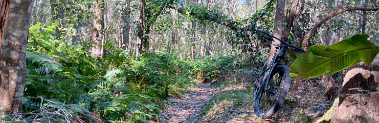 Bayview mountain bike park Mt Cotton