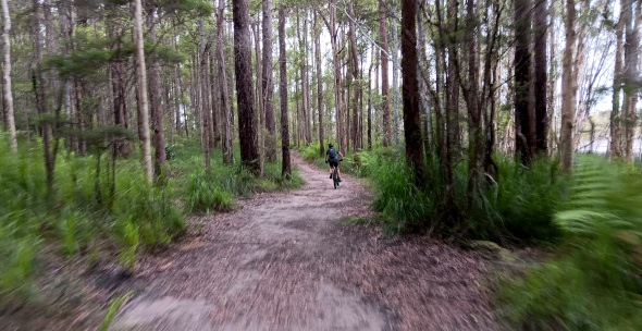 Ewen Maddock Dam main trail