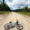 Beerburrum State Forest pine plantation