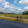 Strawberry fields Beerwah