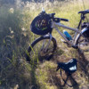 Bike fishing around Brisbane Combining activities