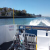 Bike plus CityCat ferry at Hamilton