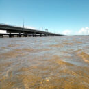 From the water