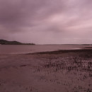 Showers and a low tide. Evening on Russell Island.