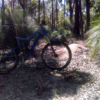 Chermside Hills Reserve Brisbane Feeling Blue