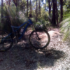 Chermside Hills Reserve Brisbane Feeling Blue