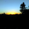 Sunset on Gregory Terrace Brisbane