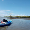 Hayes Inlet toward Saltwater Creek