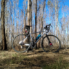The Boondall Wetlands a short while after a burn-off