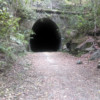 Abandoned railway tunnel on the Dularcha National Park rail trail