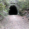 Abandoned railway tunnel on the Dularcha National Park rail trail