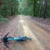 D'Aguilar NP, Mt Mee trails