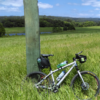 A field on the way out of Nambour. <a href="https://velo.moda/bicycle-ride-nambour-to-rainbow-beach-queensland-sunshine-coast/" target="_blank" rel="noopener">More</a>