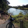 Upper reaches of the Pine River at Petrie from Leis Park