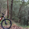 Ironbark Gully Ferny Grove again. <a target="_blank" href="https://velo.moda/trek-roscoe-8-long-term-review/" rel="noopener">More</a>.