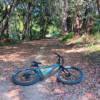 On the Samford Pony Trails again <a target="_blank" href="https://velo.moda/samford-pony-trails-ironbark-gully-loop/" rel="noopener">More</a>