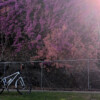 Spring in Barrambin. Super bright.