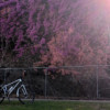 Spring in Barrambin. Super bright.