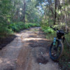 Trails along Elimbah Creek