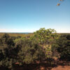 View to Moreton Island from the observation tower in the Boondall Wetlands