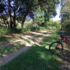 Bellbird Grove Ross Rd