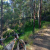 Ironbark Gully Ferny Grove