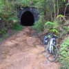 Dularcha railway tunnel. <a target="_blank" href="https://velo.moda/sunshine-coast-bikeways-are-great-with-train-linkup" rel="noopener">More</a>
