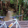 Somewhere near Mooloolah Valley <a target="_blank" href="https://velo.moda/sunshine-coast-bikeways-are-great-with-train-linkup" rel="noopener">More</a>