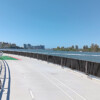 Lores Bonney bikeway along Kingsford-Smith Drive