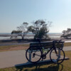 Nudgee Beach at low tide <a target="_blank" href="https://velo.moda/you-dont-need-cycling-kit-to-ride-road-bikes/" rel="noopener">More</a>